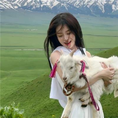 朕的刺客女友海报
